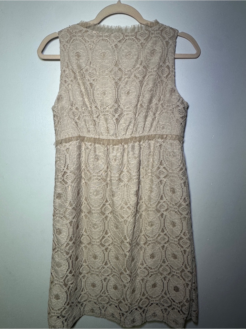 Ronnie Nicole Beige Lace Sleeveless V-Neck Mini Dress Size 6P Wedding Party - Picture 7 of 8